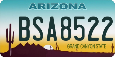 AZ license plate BSA8522