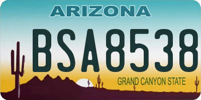 AZ license plate BSA8538