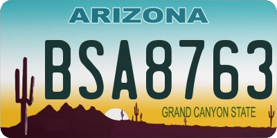 AZ license plate BSA8763