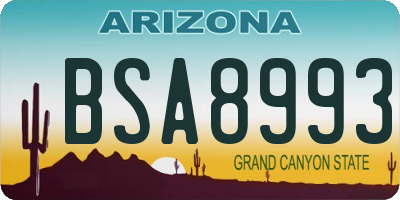 AZ license plate BSA8993