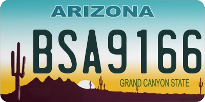 AZ license plate BSA9166