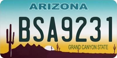 AZ license plate BSA9231