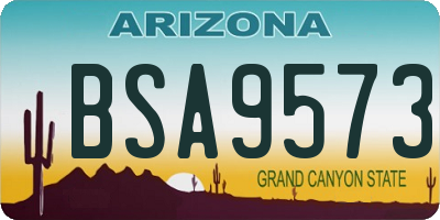 AZ license plate BSA9573