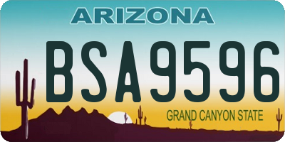 AZ license plate BSA9596