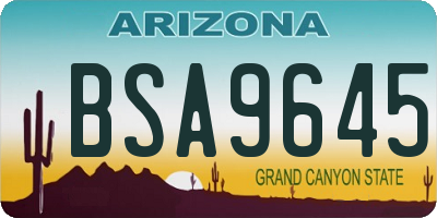 AZ license plate BSA9645