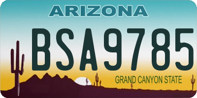 AZ license plate BSA9785