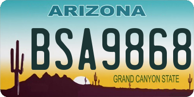 AZ license plate BSA9868
