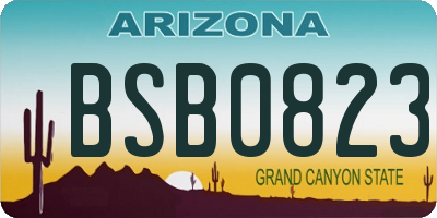 AZ license plate BSB0823