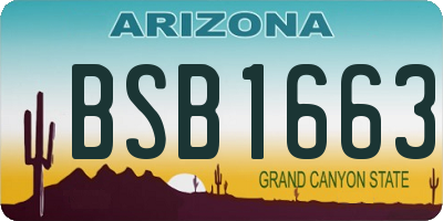 AZ license plate BSB1663