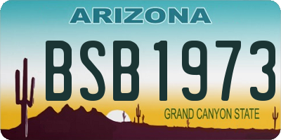AZ license plate BSB1973
