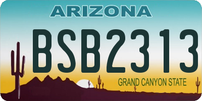 AZ license plate BSB2313