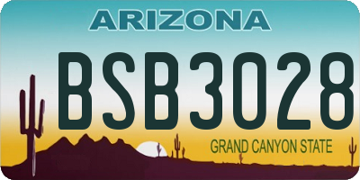 AZ license plate BSB3028
