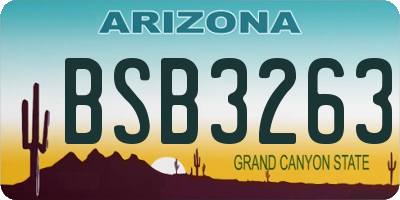 AZ license plate BSB3263