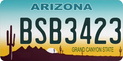 AZ license plate BSB3423