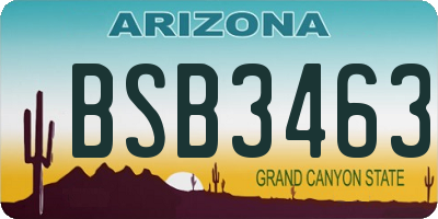 AZ license plate BSB3463