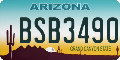 AZ license plate BSB3490