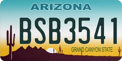 AZ license plate BSB3541