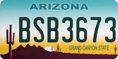 AZ license plate BSB3673