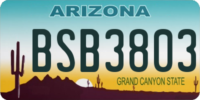 AZ license plate BSB3803