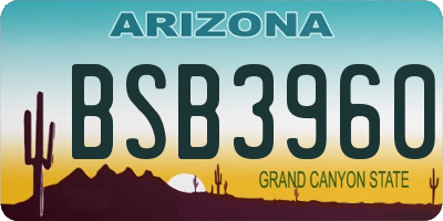 AZ license plate BSB3960