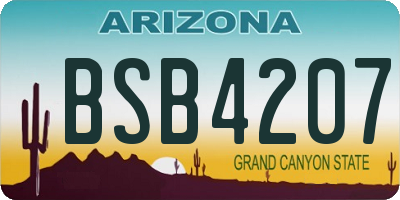 AZ license plate BSB4207