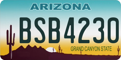 AZ license plate BSB4230