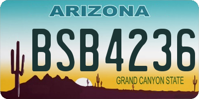 AZ license plate BSB4236