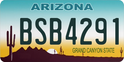 AZ license plate BSB4291