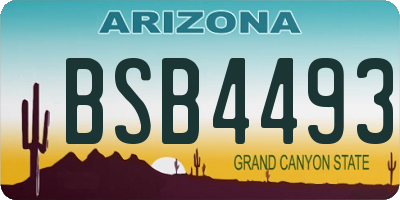 AZ license plate BSB4493