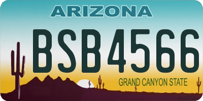 AZ license plate BSB4566