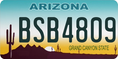 AZ license plate BSB4809