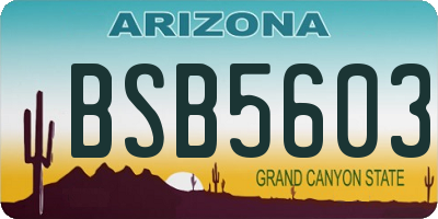 AZ license plate BSB5603