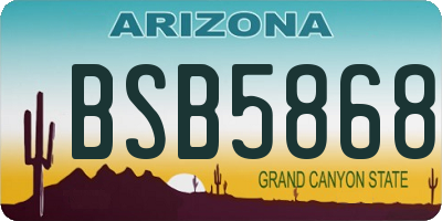 AZ license plate BSB5868