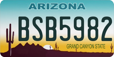 AZ license plate BSB5982