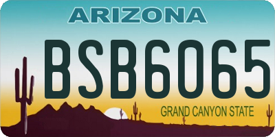 AZ license plate BSB6065
