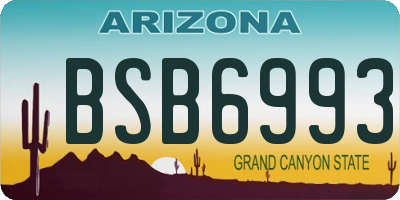 AZ license plate BSB6993