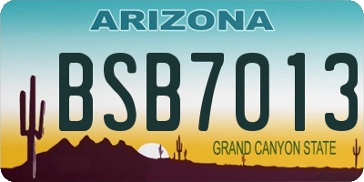 AZ license plate BSB7013