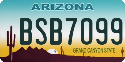 AZ license plate BSB7099