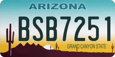 AZ license plate BSB7251
