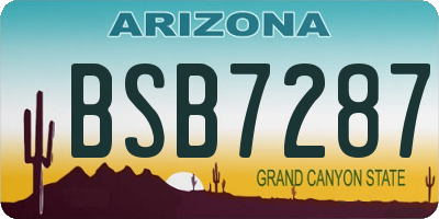 AZ license plate BSB7287