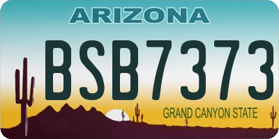 AZ license plate BSB7373