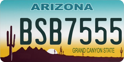 AZ license plate BSB7555