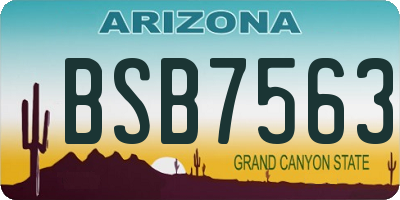 AZ license plate BSB7563