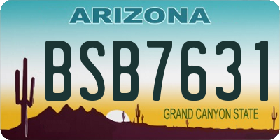 AZ license plate BSB7631