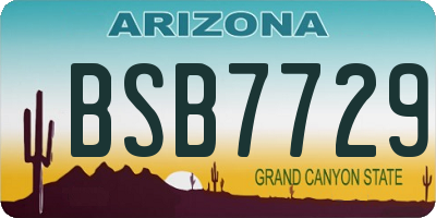 AZ license plate BSB7729