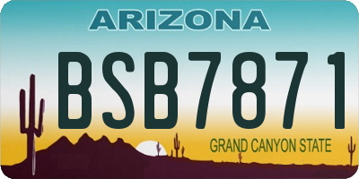 AZ license plate BSB7871