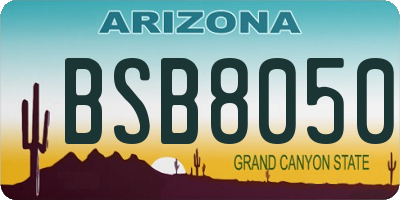 AZ license plate BSB8050