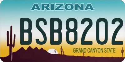 AZ license plate BSB8202