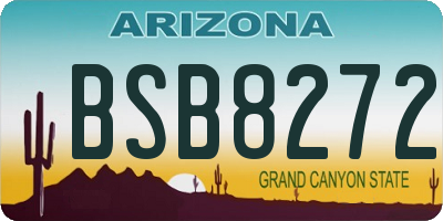 AZ license plate BSB8272