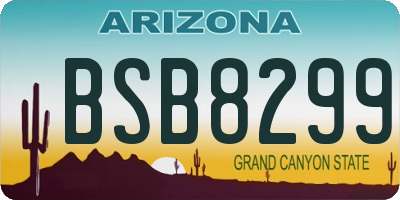 AZ license plate BSB8299
